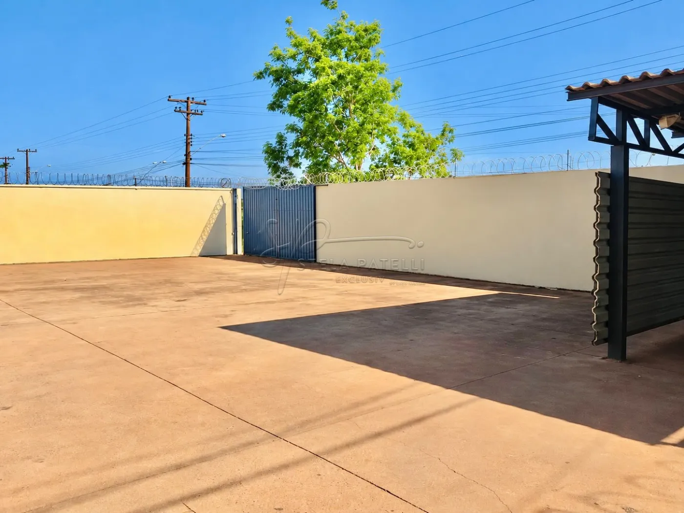 Alugar Comercial padr&atilde;o / Galp&atilde;o - Armaz&eacute;m em Ribeir&atilde;o Preto R$ 19.000,00 - Foto 13