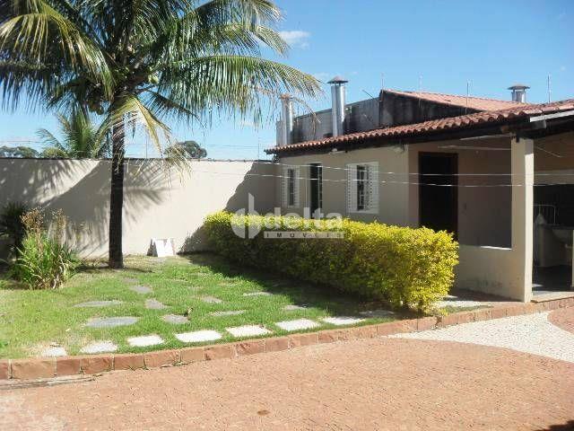 Alugar Casa Residencial / Padr&atilde;o em Uberl&acirc;ndia R$ 3.181,00 - Foto 19