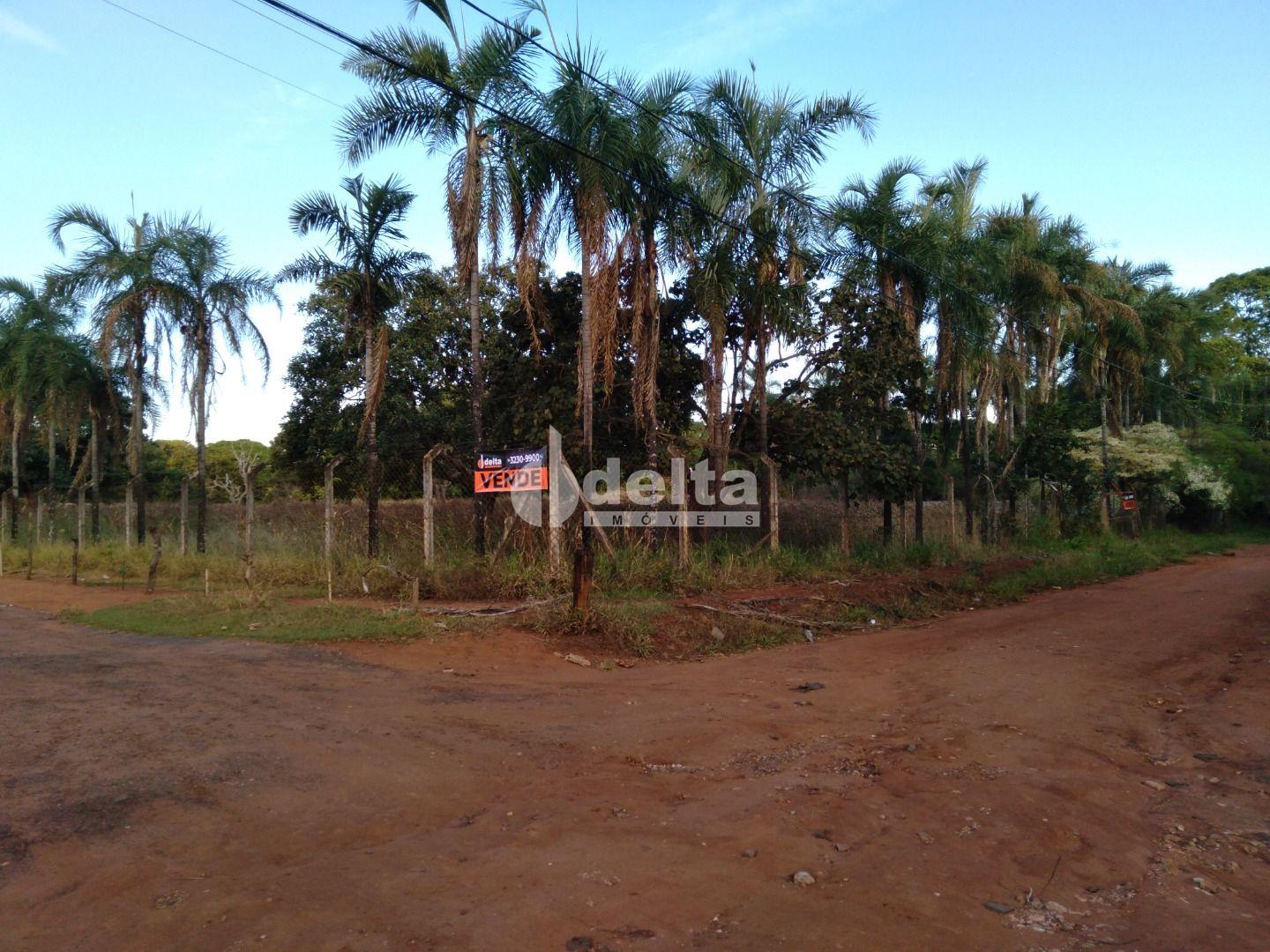 Comprar Rural / Ch&aacute;cara em Uberl&acirc;ndia R$ 1.000.000,00 - Foto 6