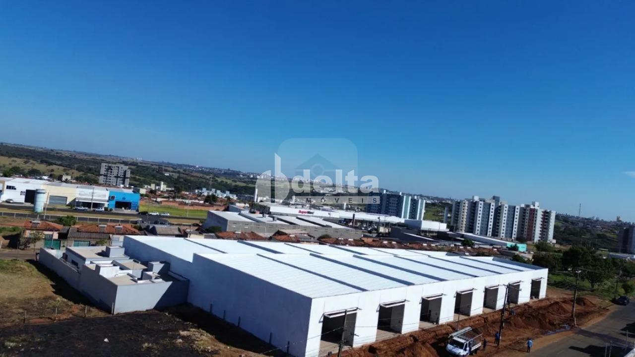 Alugar Galp&atilde;o / Padr&atilde;o em Uberl&acirc;ndia R$ 4.250,00 - Foto 9