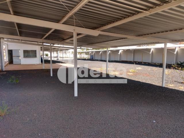 Alugar Terreno / Padr&atilde;o em Uberl&acirc;ndia R$ 5.000,00 - Foto 3