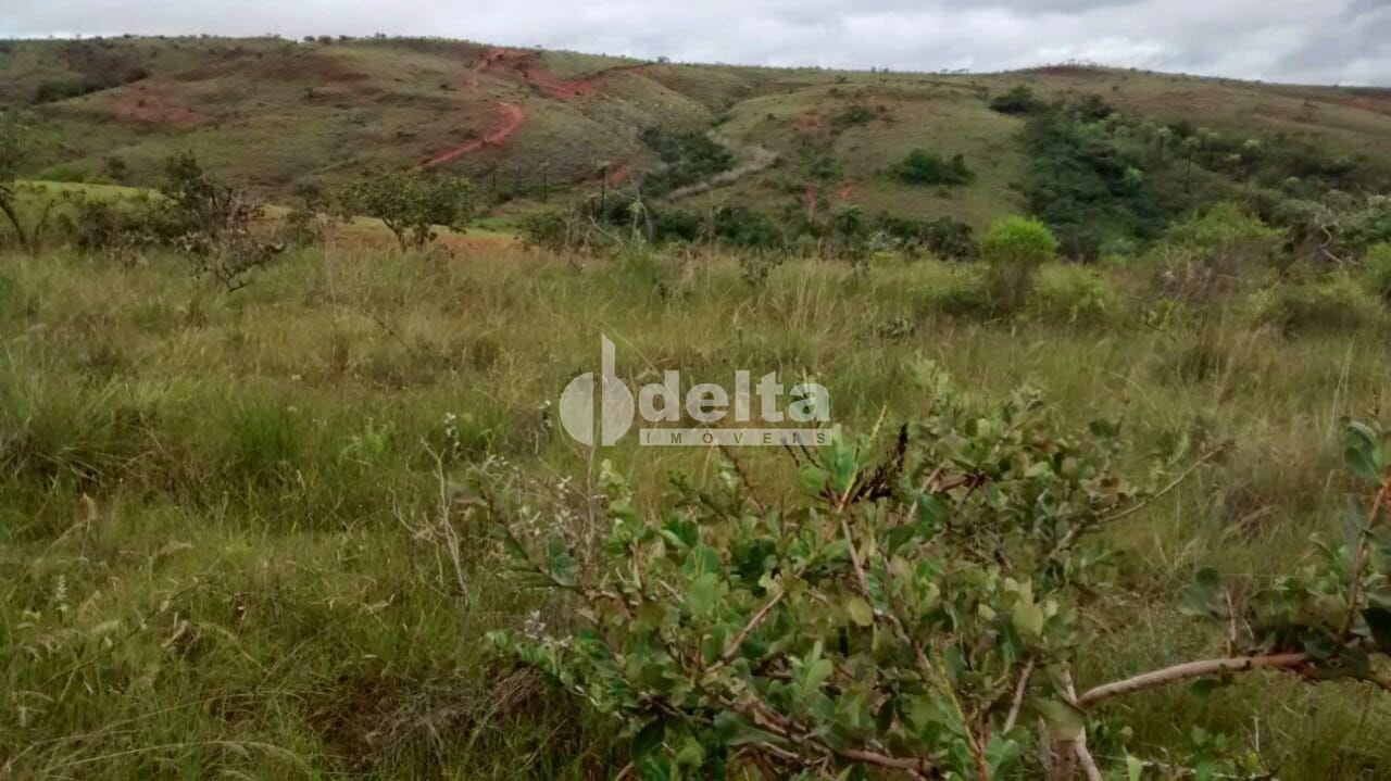 Comprar Rural / Fazenda em Uberl&acirc;ndia R$ 3.500.000,00 - Foto 3