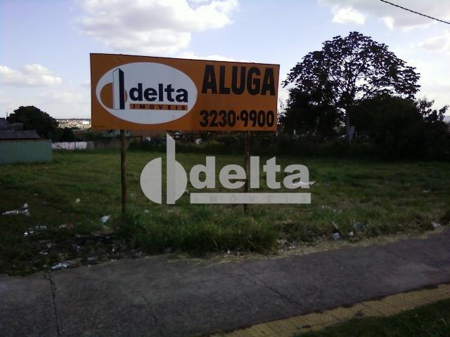 Alugar Terreno / Padr&atilde;o em Uberl&acirc;ndia R$ 10.000,00 - Foto 2