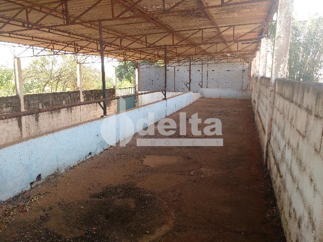 Alugar Galp&atilde;o / Padr&atilde;o em Uberl&acirc;ndia R$ 10.000,00 - Foto 18