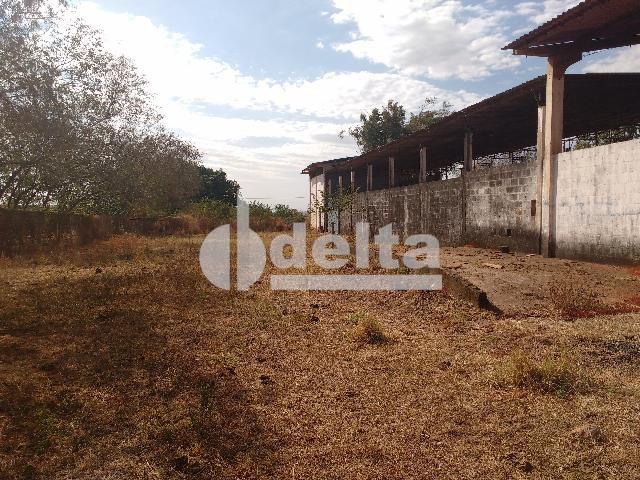 Alugar Galp&atilde;o / Padr&atilde;o em Uberl&acirc;ndia R$ 10.000,00 - Foto 12