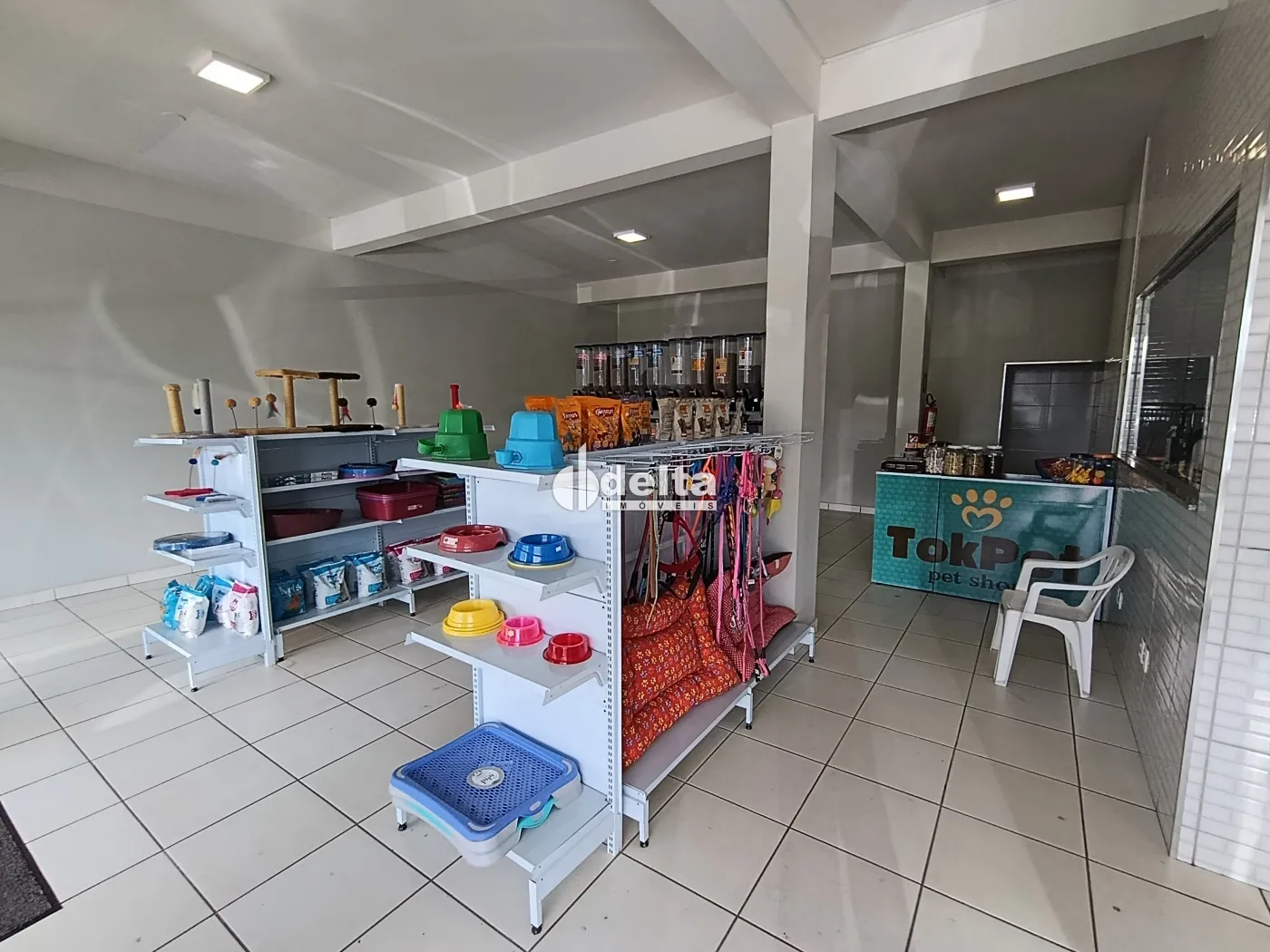 Alugar Loja / Padr&atilde;o em Uberl&acirc;ndia R$ 3.000,00 - Foto 1