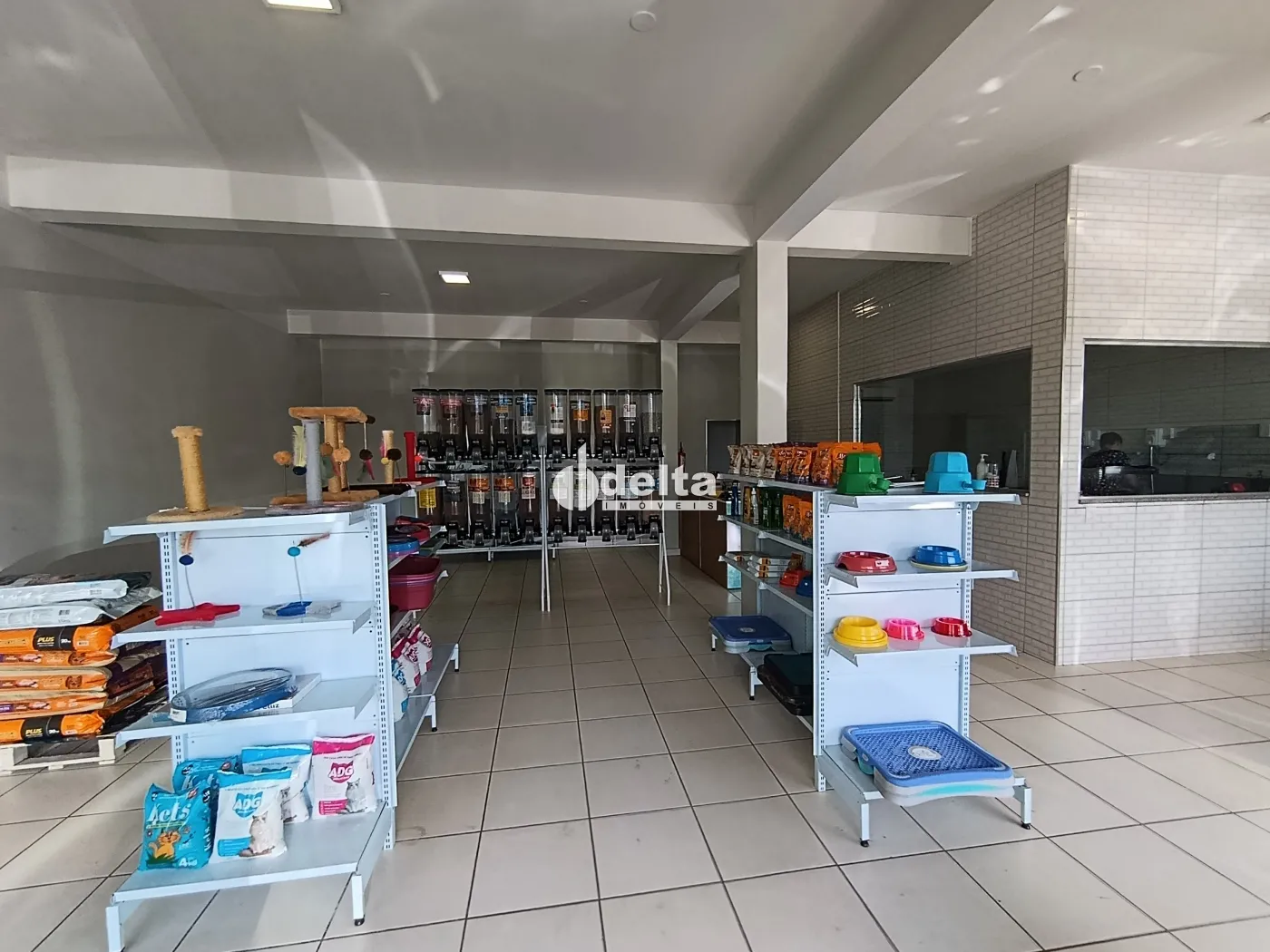 Alugar Loja / Padr&atilde;o em Uberl&acirc;ndia R$ 3.000,00 - Foto 2