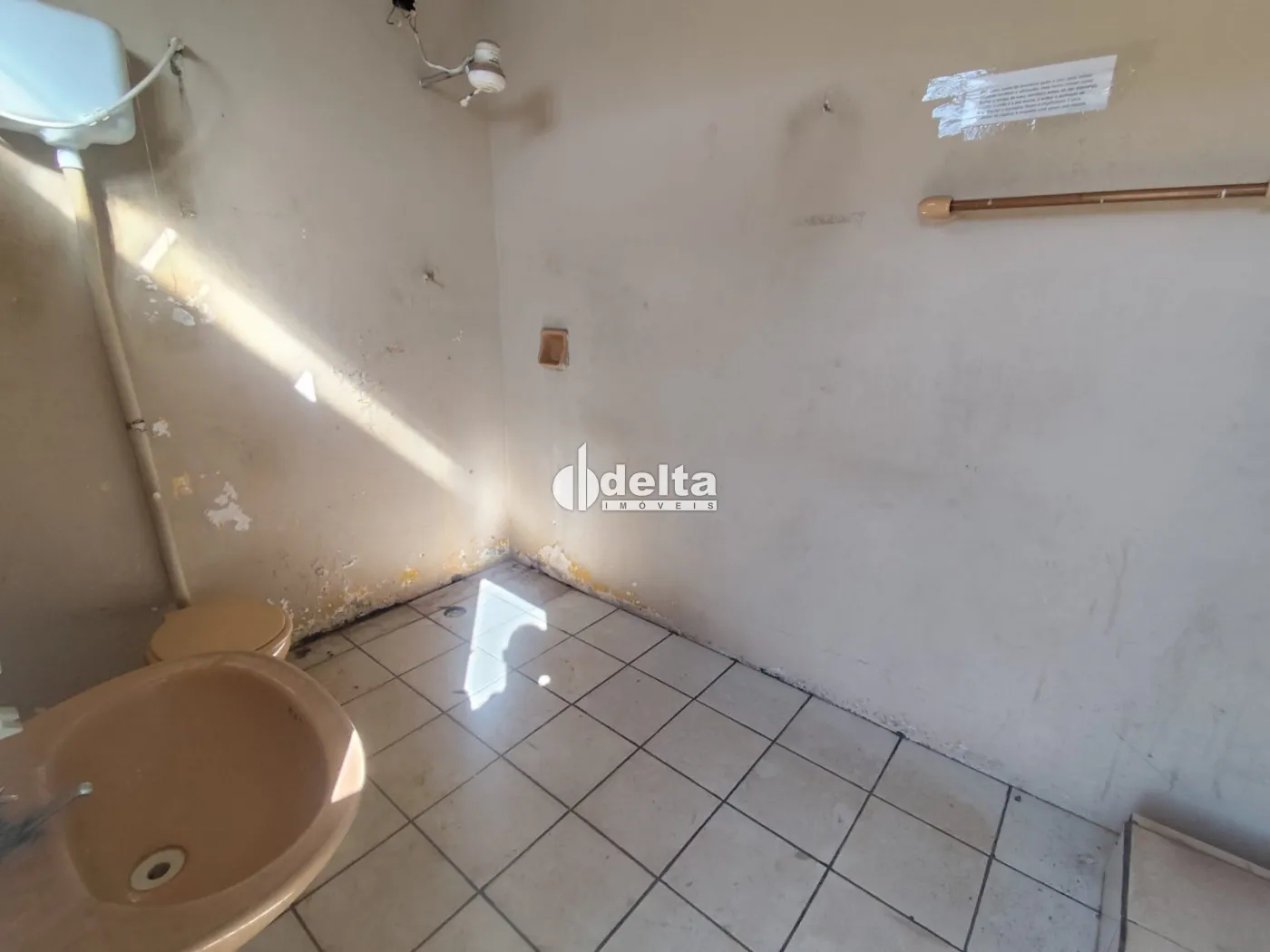 Alugar Loja / Padr&atilde;o em Uberl&acirc;ndia R$ 20.000,00 - Foto 3