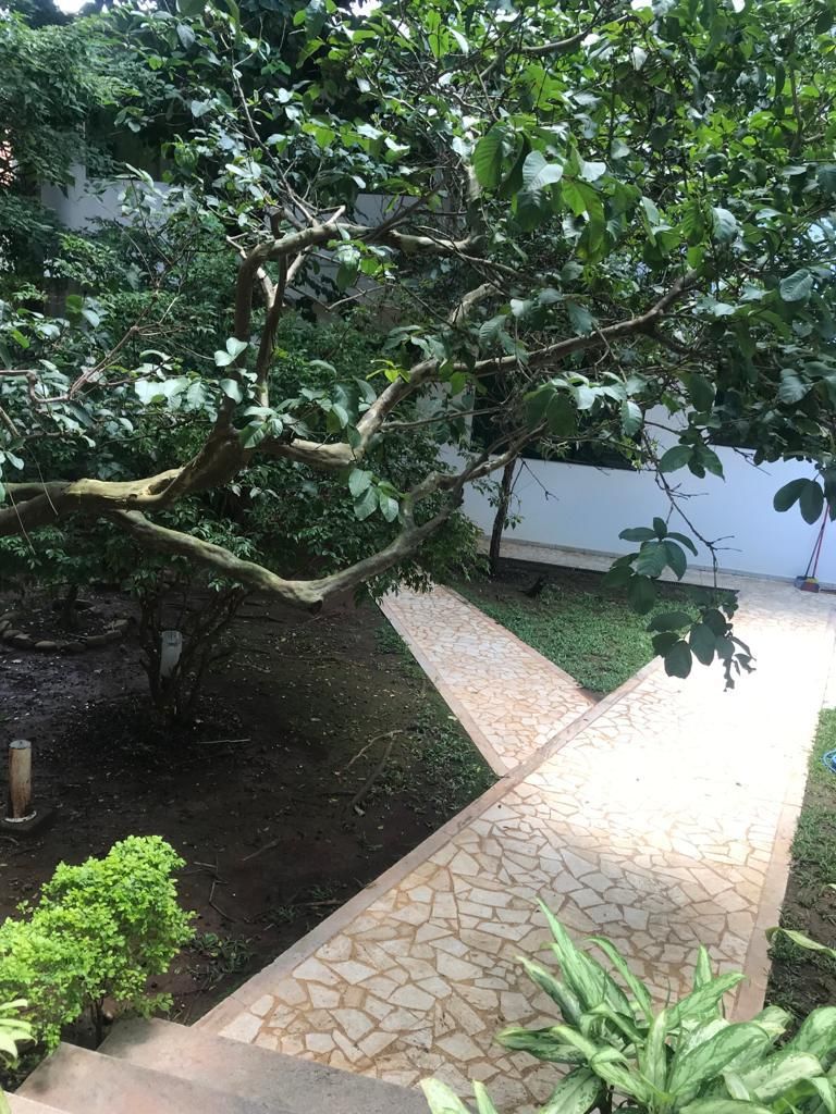 Alugar Comercial / Sobrado Comercial em Santo Andr&eacute; R$ 26.000,00 - Foto 8