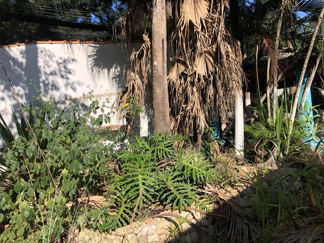 Alugar Terreno / Padr&atilde;o em Aruj&aacute; R$ 25.000,00 - Foto 12