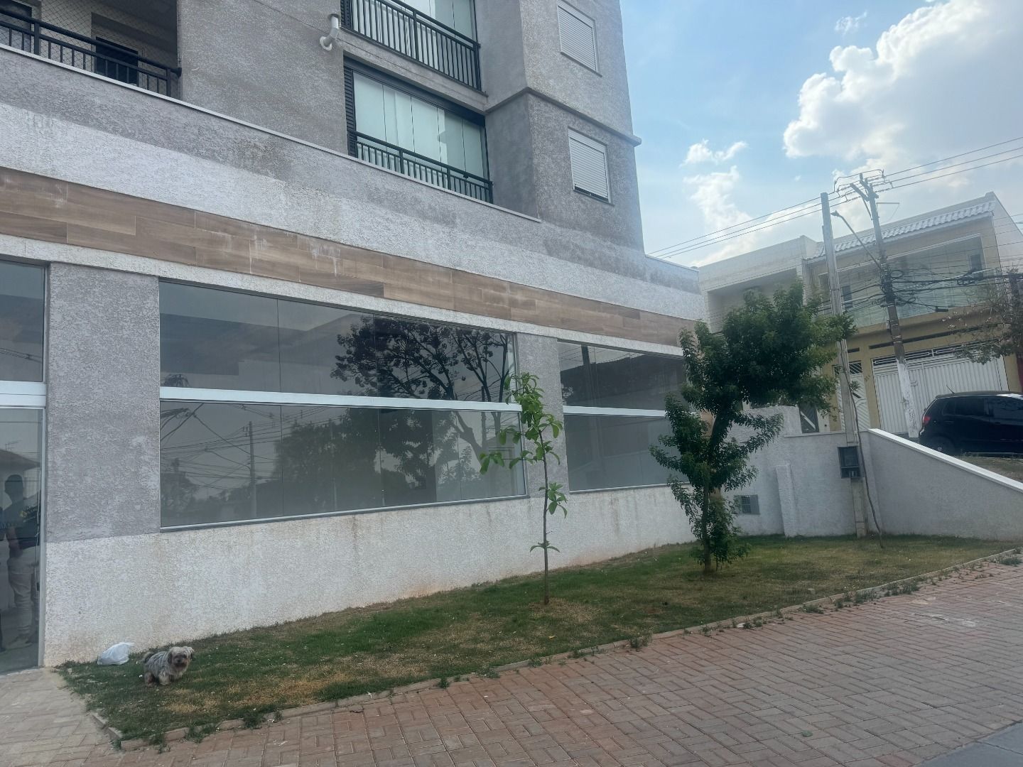Alugar Comercial / Sal&atilde;o em S&atilde;o Paulo R$ 3.500,00 - Foto 1
