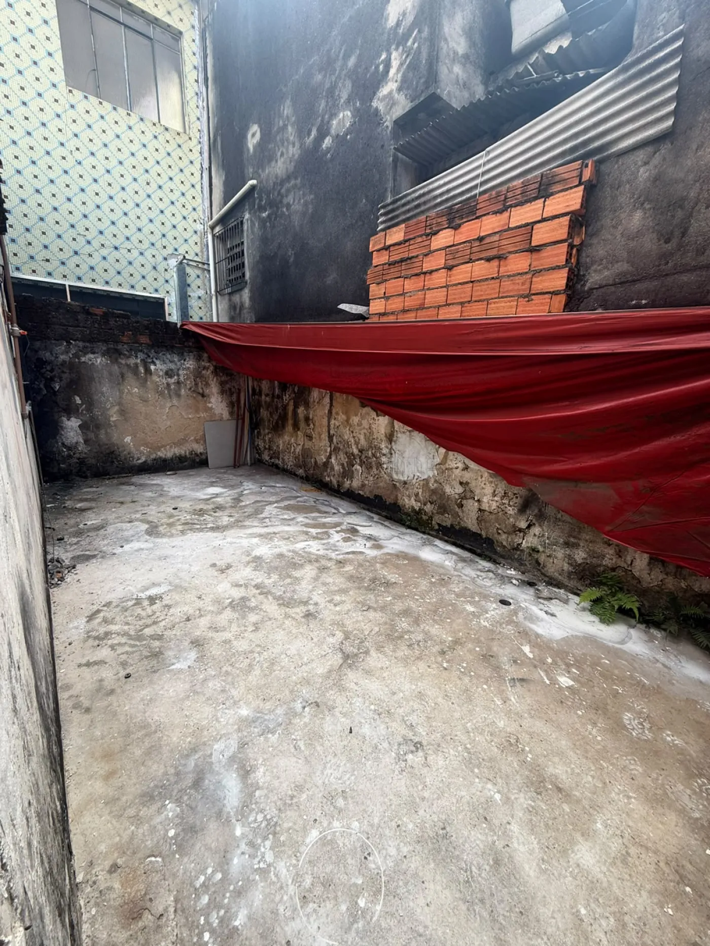 Alugar Comercial / Sal&atilde;o em S&atilde;o Paulo R$ 10.000,00 - Foto 14