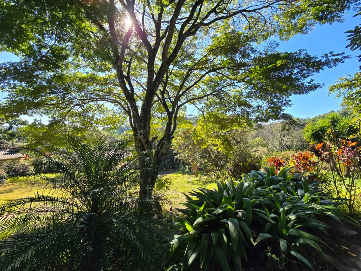 Comprar Rural / Ch&aacute;cara em V&aacute;rzea Paulista R$ 690.000,00 - Foto 15