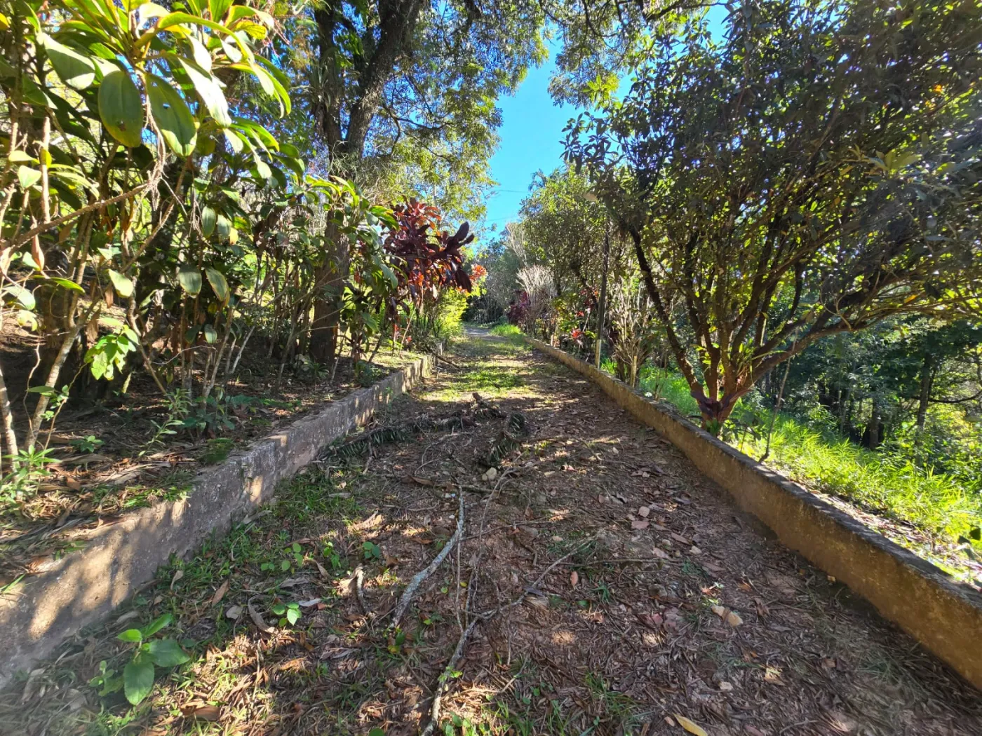 Comprar Rural / Ch&aacute;cara em V&aacute;rzea Paulista R$ 690.000,00 - Foto 18