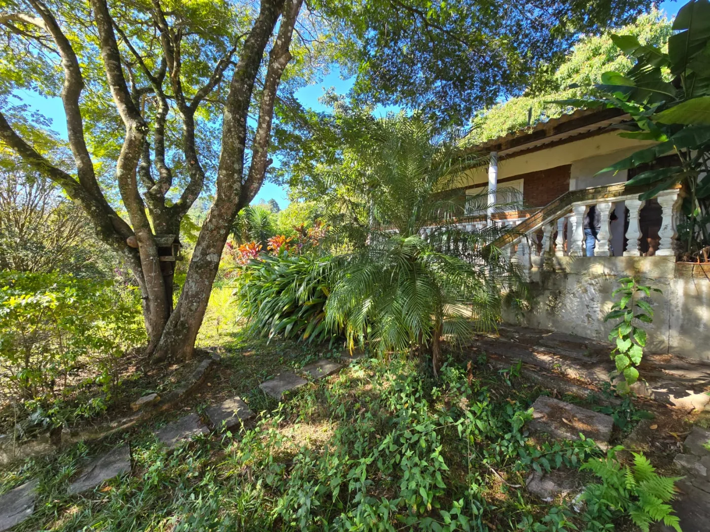 Comprar Rural / Ch&aacute;cara em V&aacute;rzea Paulista R$ 690.000,00 - Foto 5