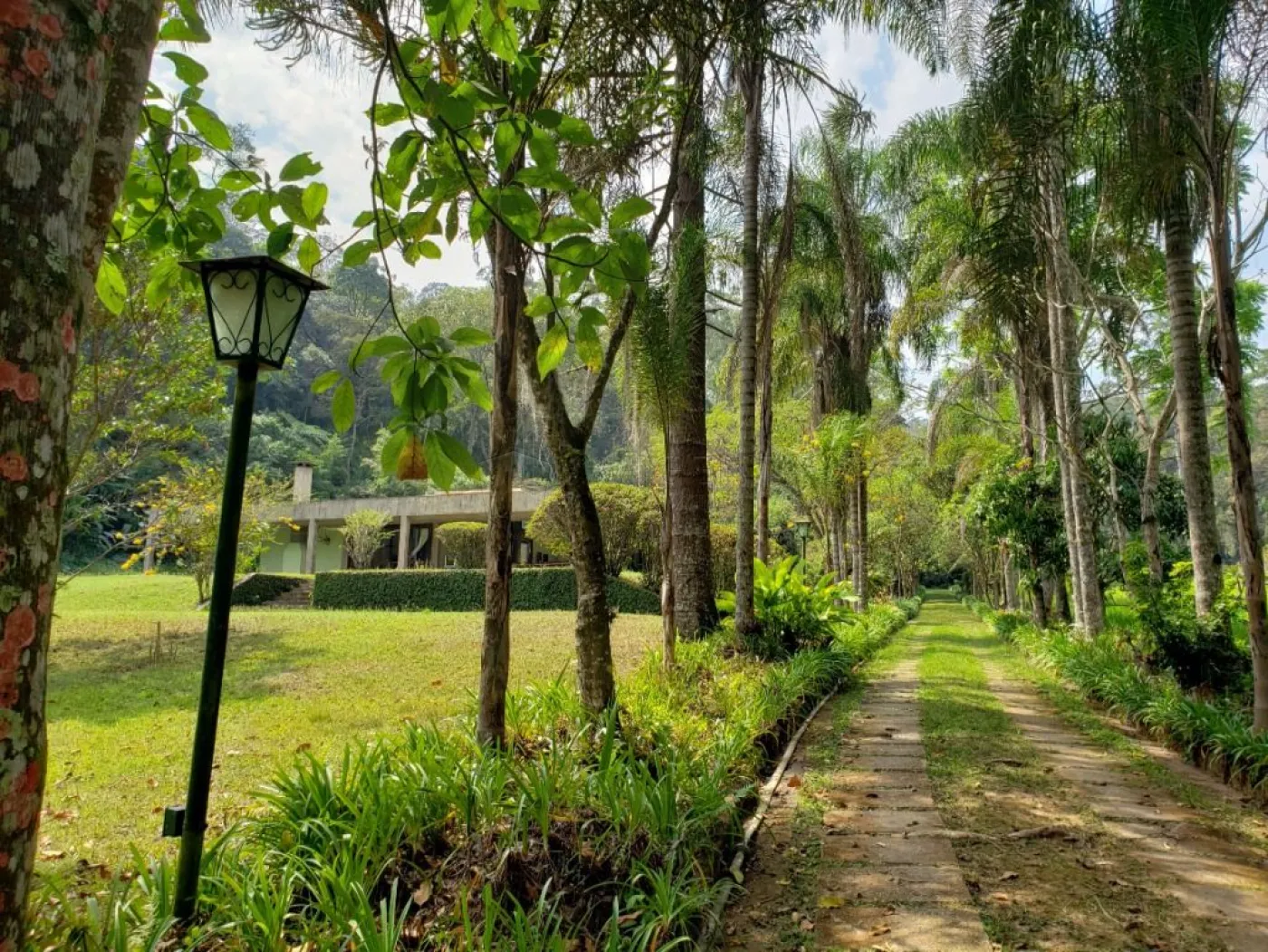 Comprar Rural / S&iacute;tio em Campo Limpo Paulista R$ 6.500.000,00 - Foto 15