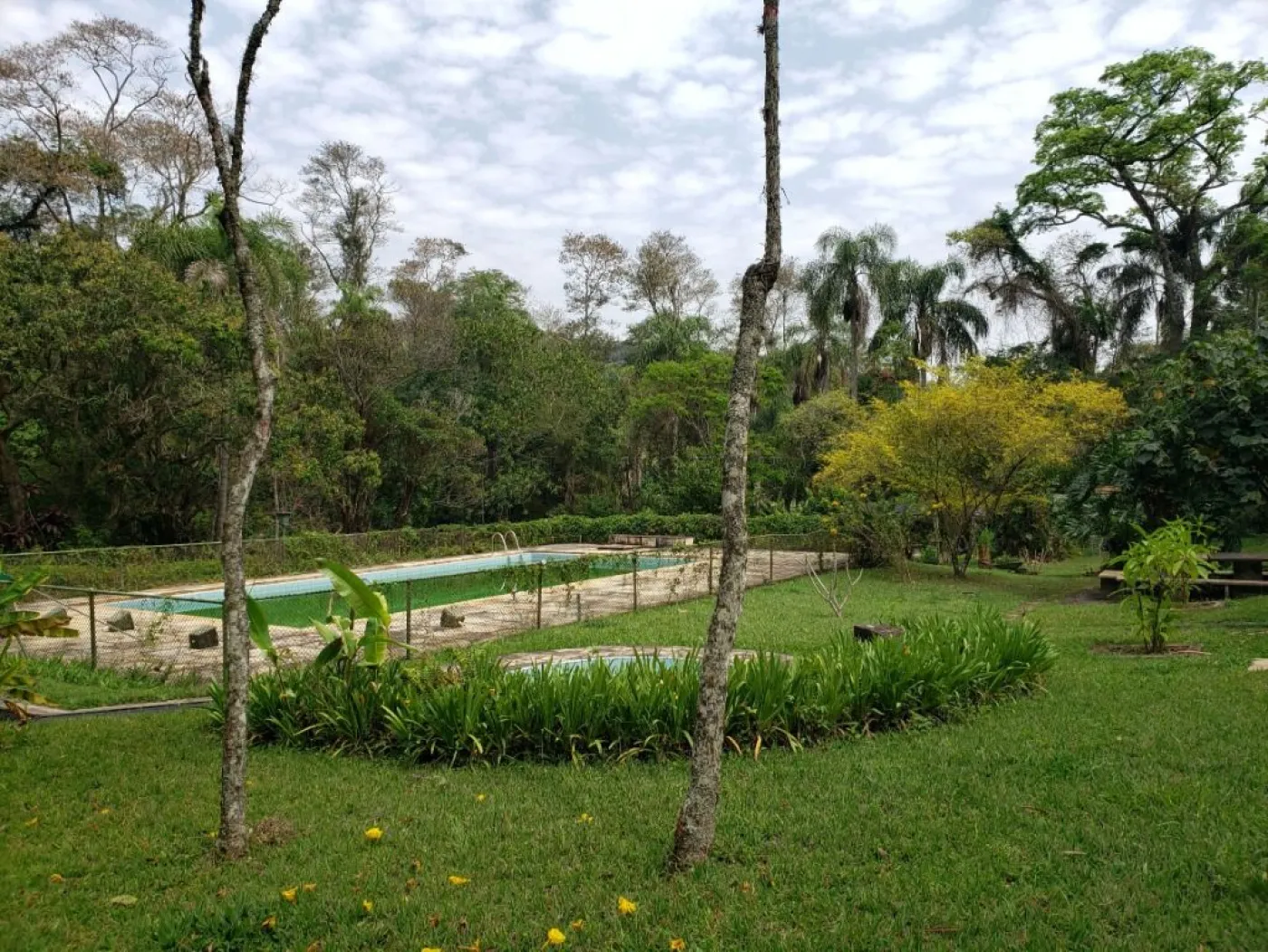 Comprar Rural / S&iacute;tio em Campo Limpo Paulista R$ 6.500.000,00 - Foto 20