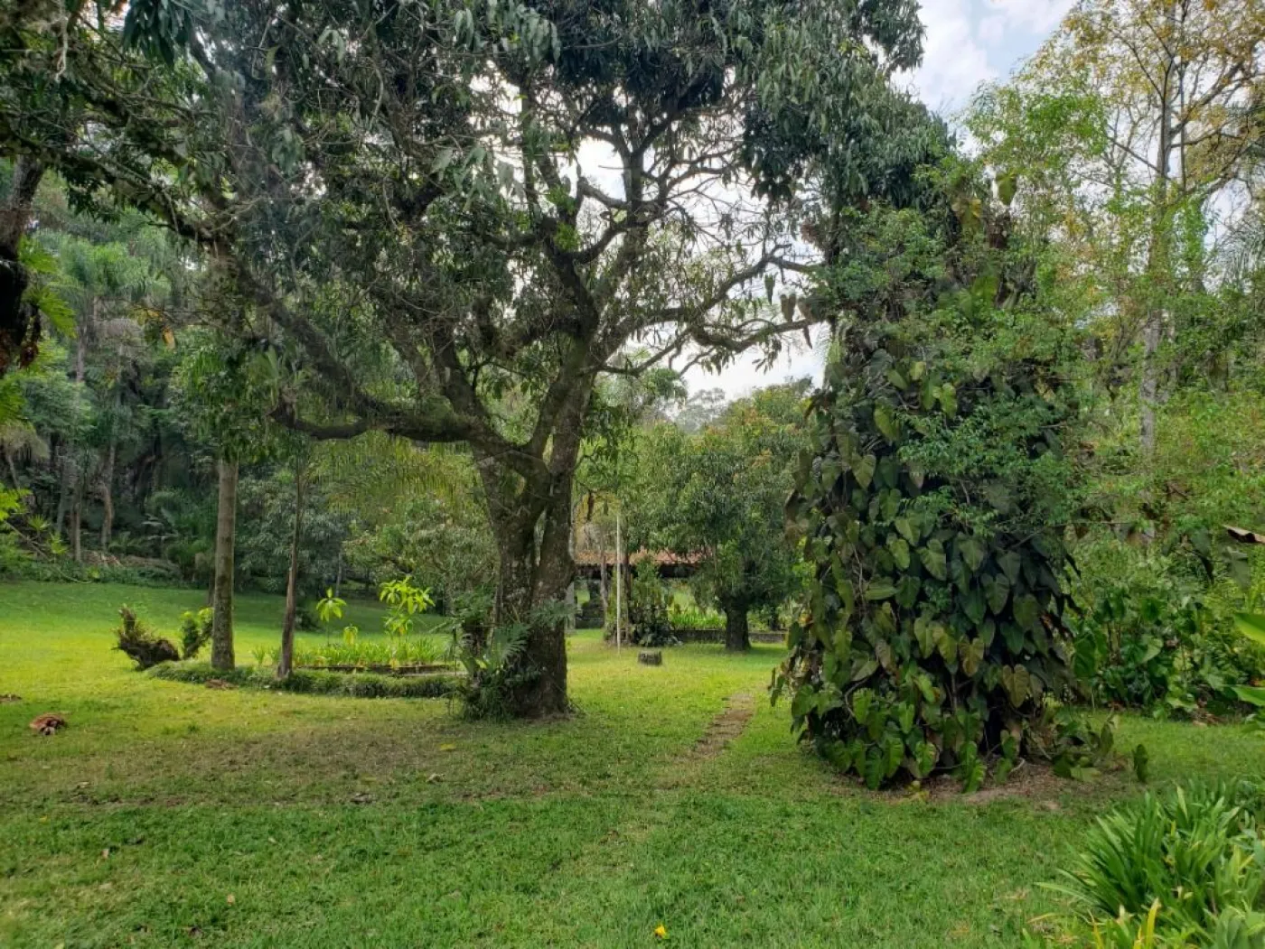 Comprar Rural / S&iacute;tio em Campo Limpo Paulista R$ 6.500.000,00 - Foto 21
