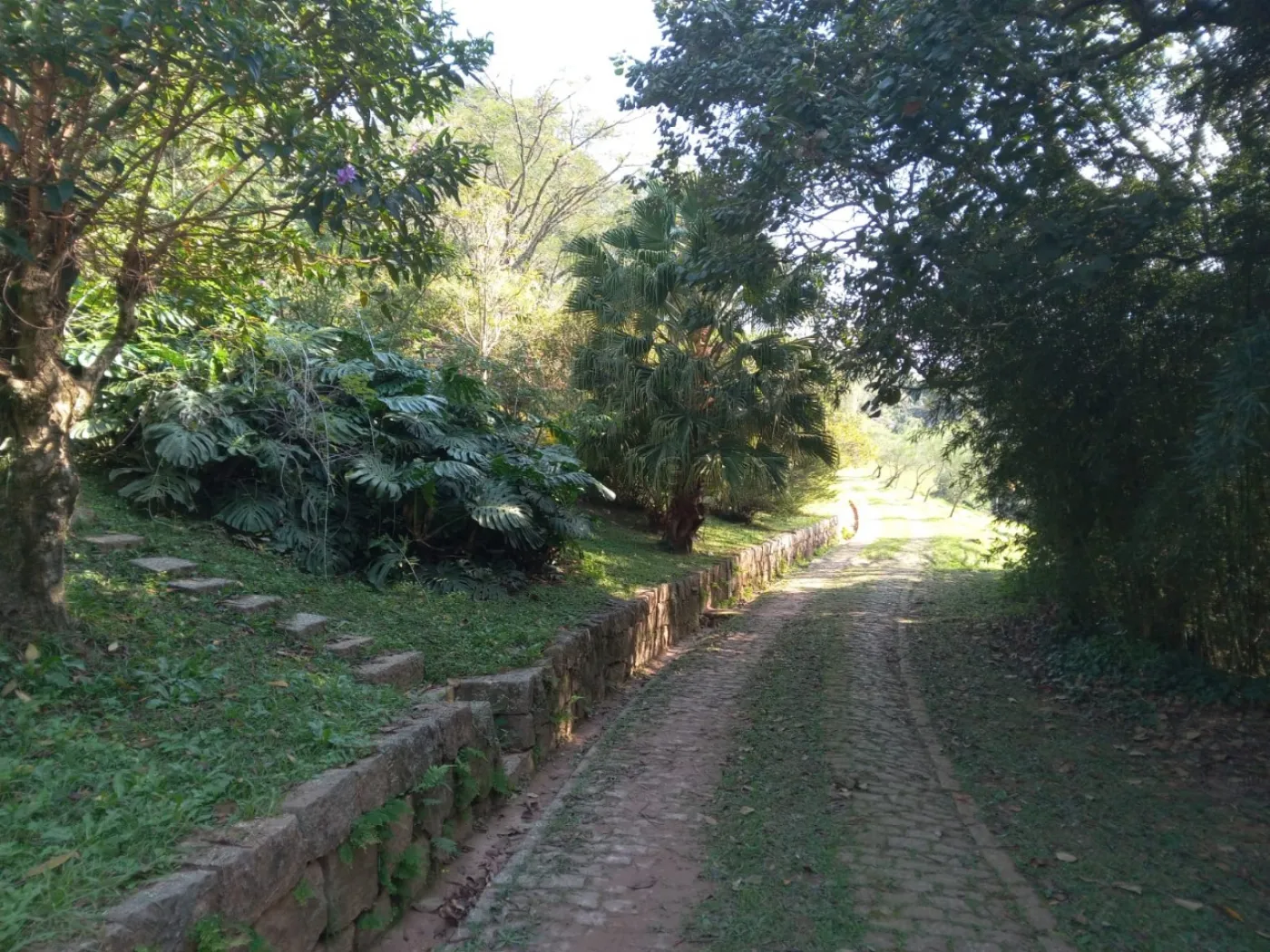 Comprar Rural / S&iacute;tio em Campo Limpo Paulista R$ 3.500.000,00 - Foto 3
