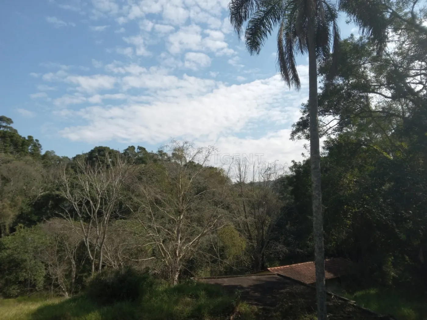 Comprar Rural / S&iacute;tio em Campo Limpo Paulista R$ 3.500.000,00 - Foto 6