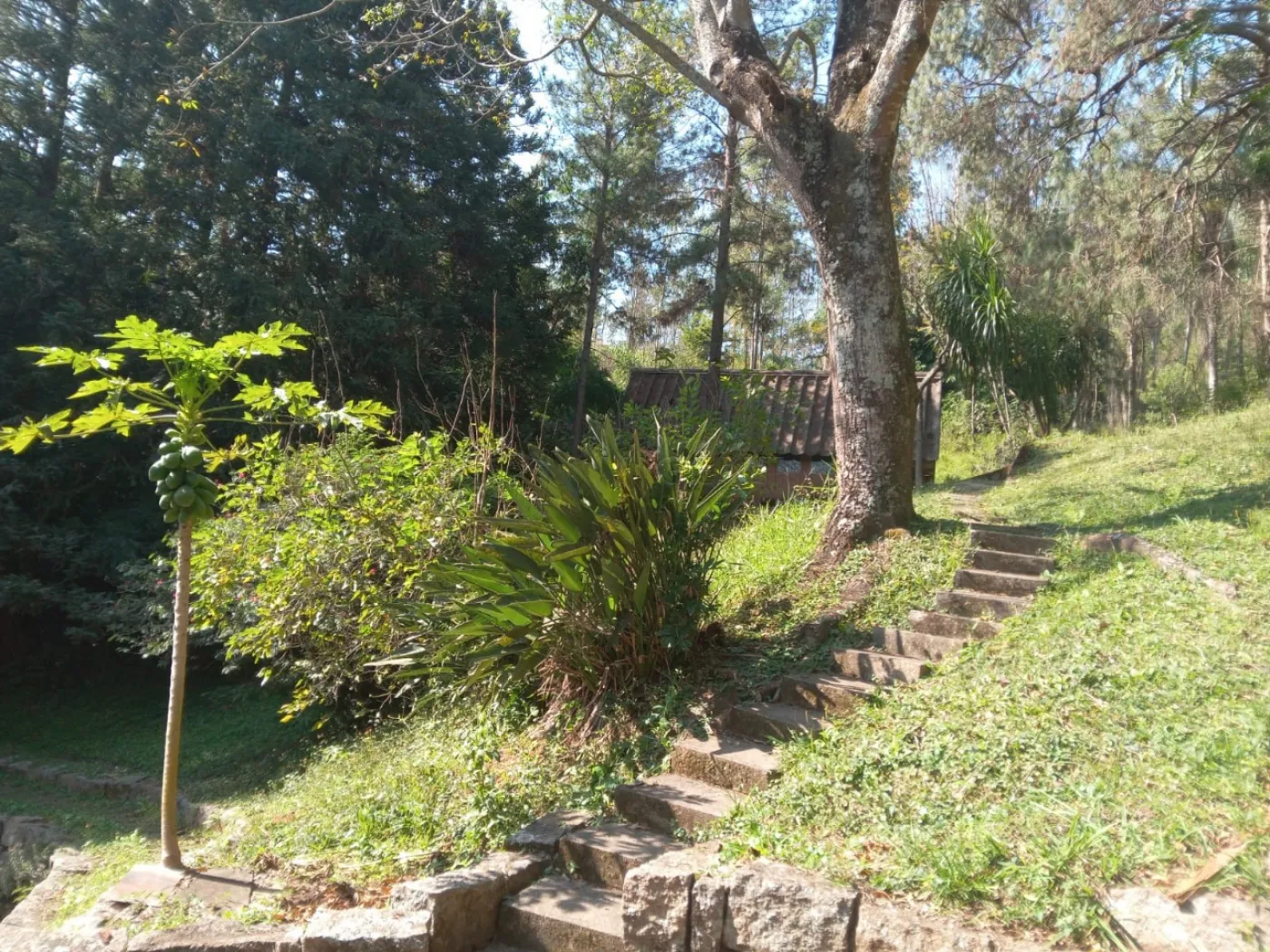 Comprar Rural / S&iacute;tio em Campo Limpo Paulista R$ 3.500.000,00 - Foto 12