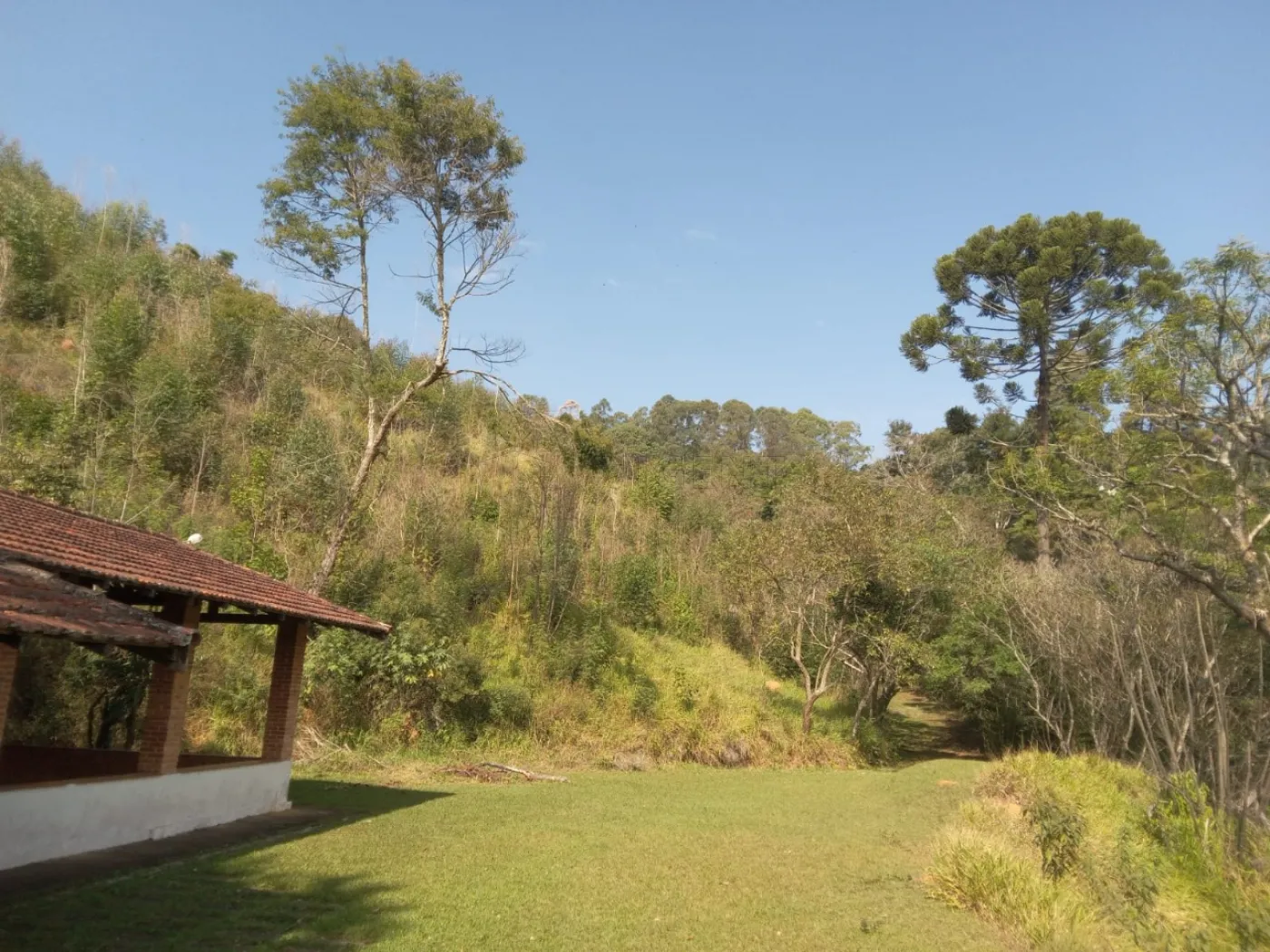 Comprar Rural / S&iacute;tio em Campo Limpo Paulista R$ 3.500.000,00 - Foto 13