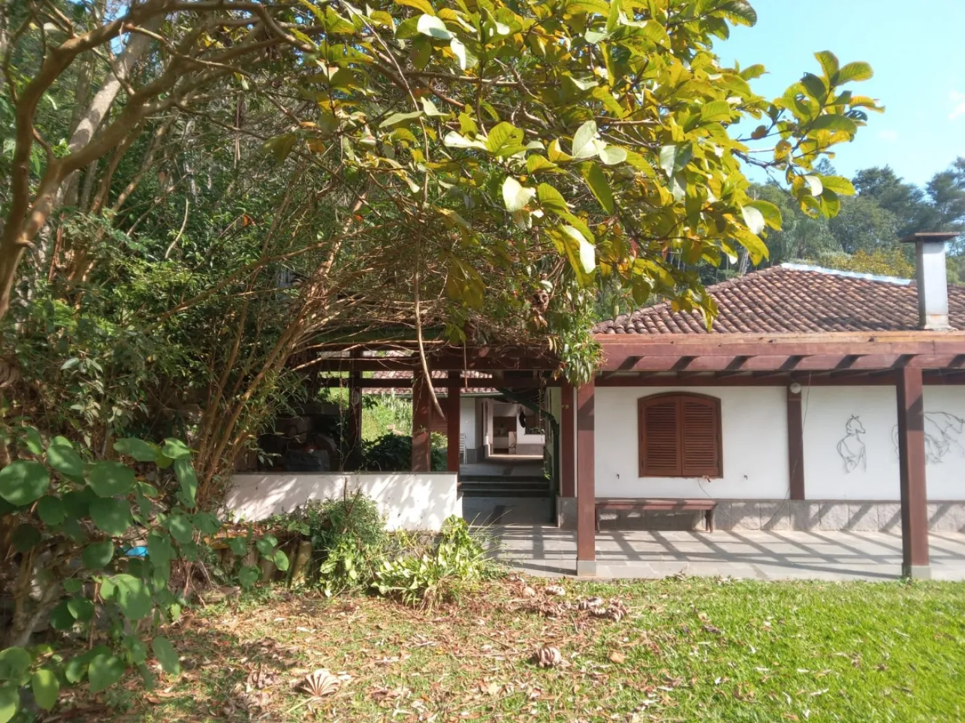 Comprar Rural / S&iacute;tio em Campo Limpo Paulista R$ 3.500.000,00 - Foto 23