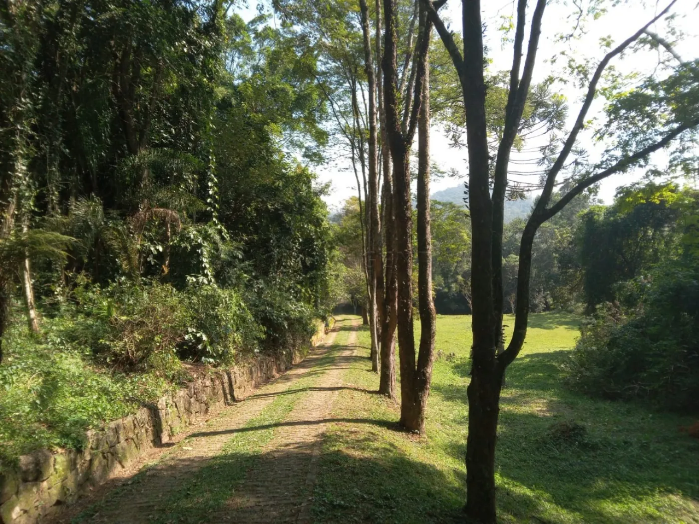 Comprar Rural / S&iacute;tio em Campo Limpo Paulista R$ 3.500.000,00 - Foto 24