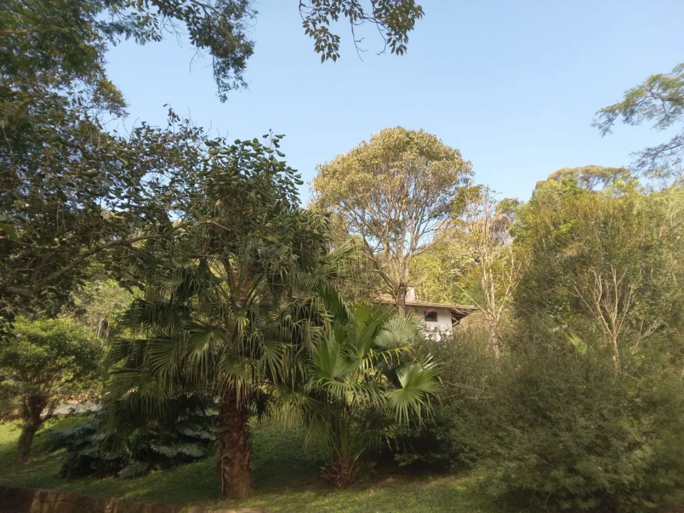 Comprar Rural / S&iacute;tio em Campo Limpo Paulista R$ 3.500.000,00 - Foto 25