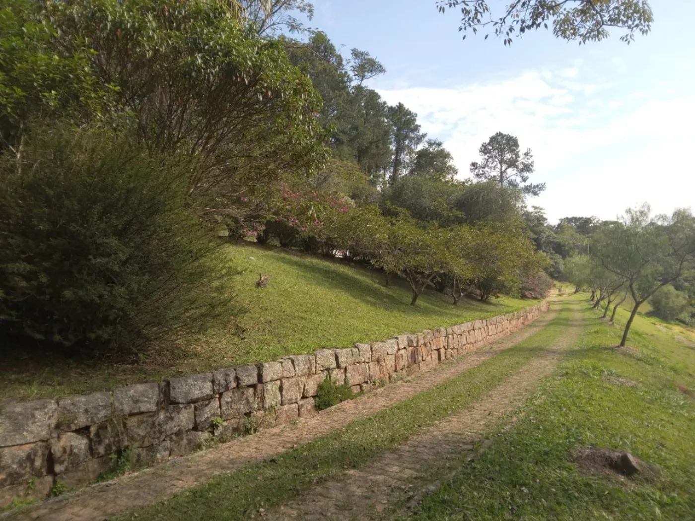 Comprar Rural / S&iacute;tio em Campo Limpo Paulista R$ 3.500.000,00 - Foto 27