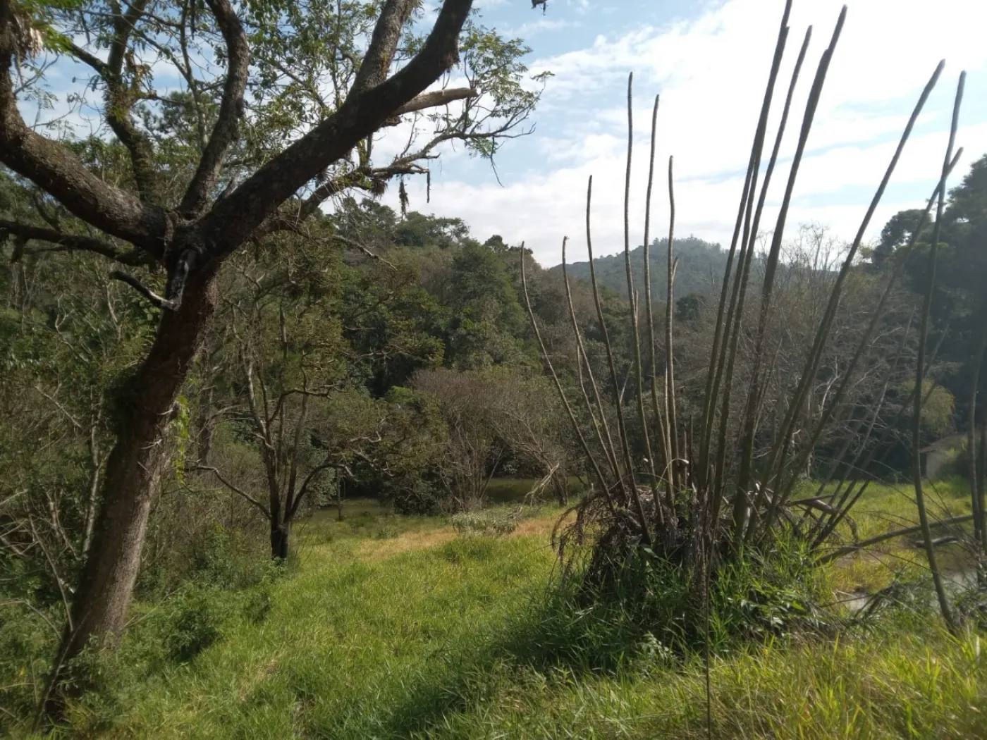 Comprar Rural / S&iacute;tio em Campo Limpo Paulista R$ 3.000.000,00 - Foto 20