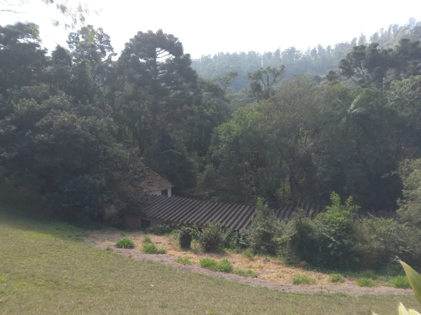 Comprar Rural / S&iacute;tio em Campo Limpo Paulista R$ 3.000.000,00 - Foto 27