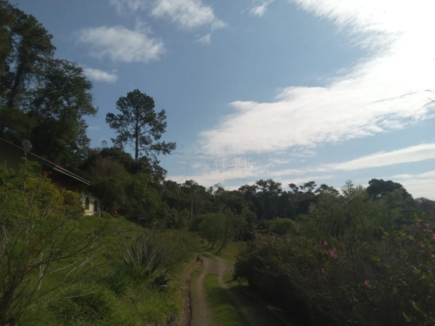 Comprar Rural / S&iacute;tio em Campo Limpo Paulista R$ 3.000.000,00 - Foto 29