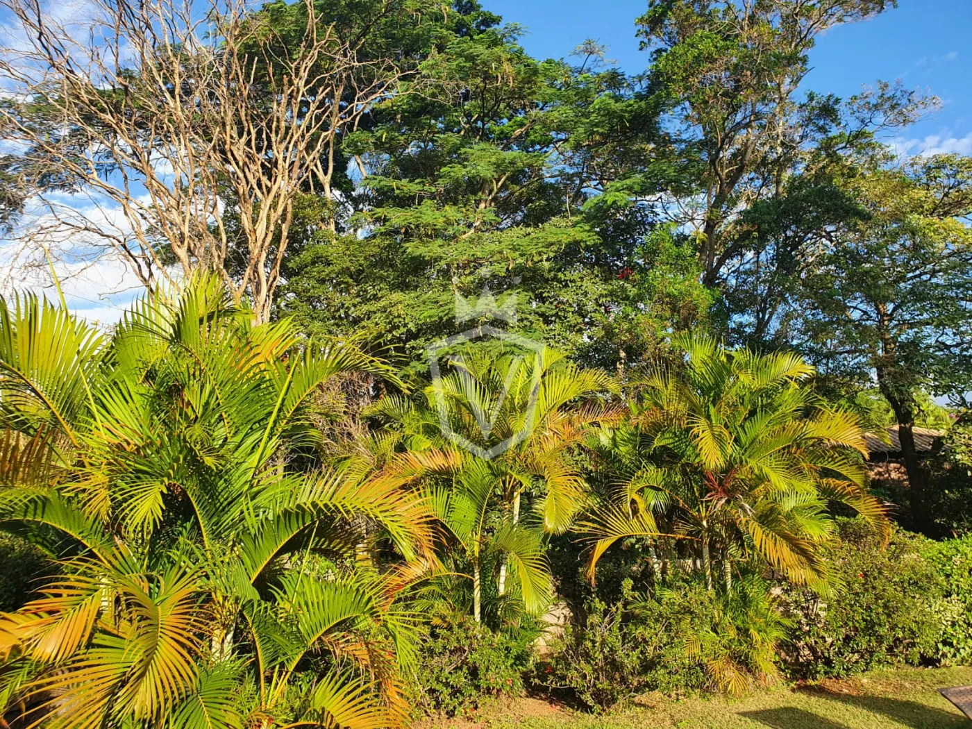 Comprar Casa / Condom&iacute;nio em Cabre&uacute;va R$ 3.750.000,00 - Foto 19