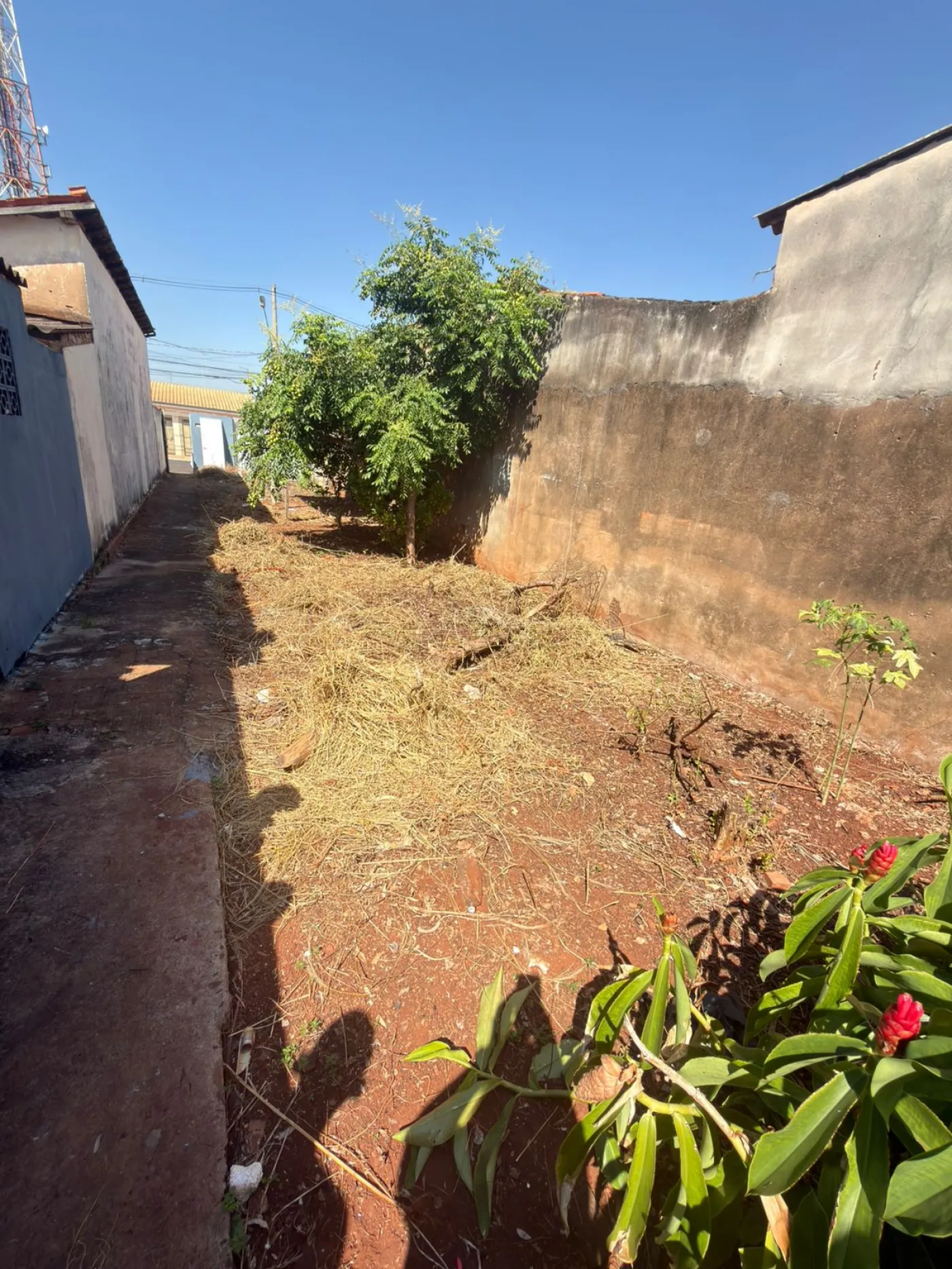 Alugar Casa / Padr&atilde;o em Barrinha R$ 800,00 - Foto 10