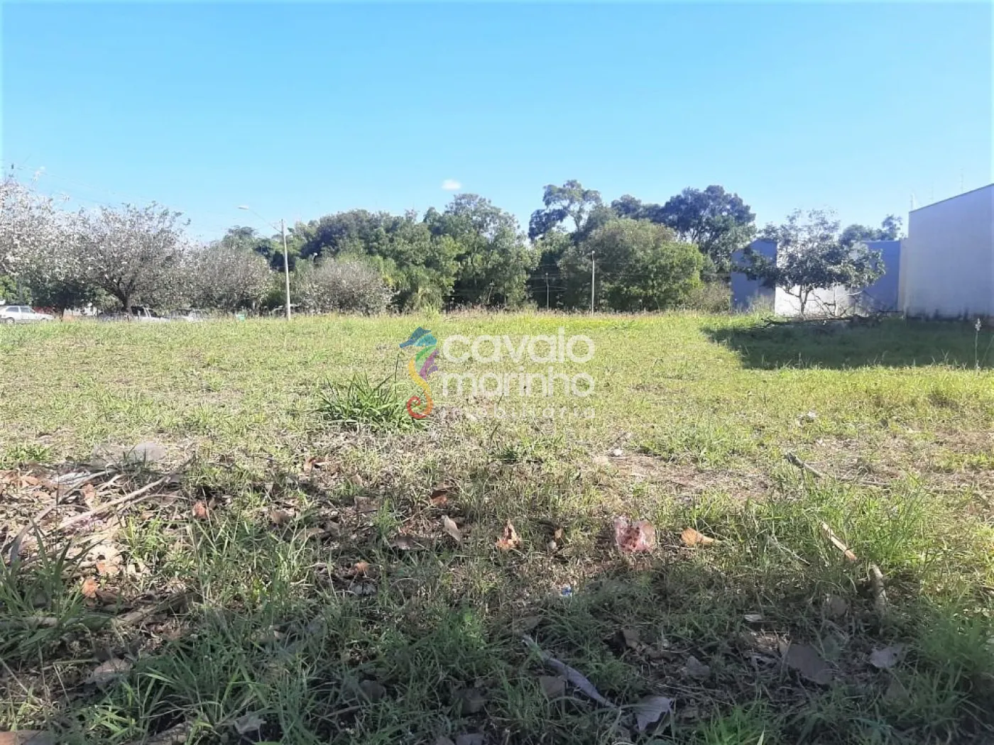 Comprar Terreno / Terreno em Ribeir&atilde;o Preto R$ 140.000,00 - Foto 1