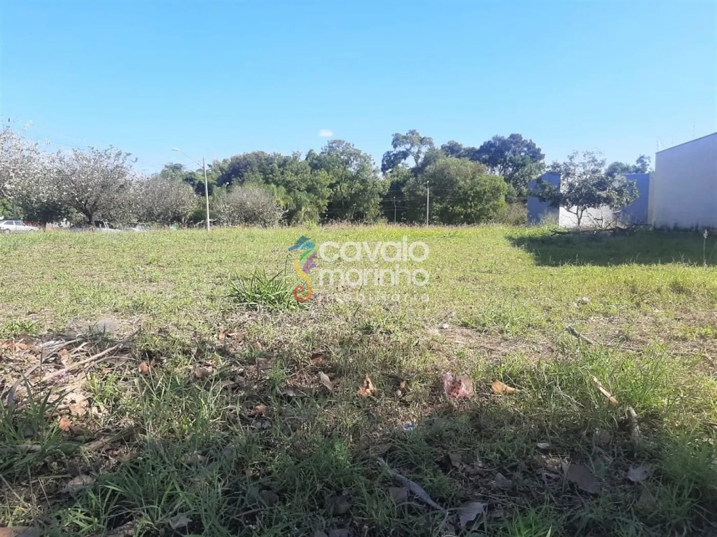 Comprar Terreno / Terreno em Ribeir&atilde;o Preto R$ 200.000,00 - Foto 1