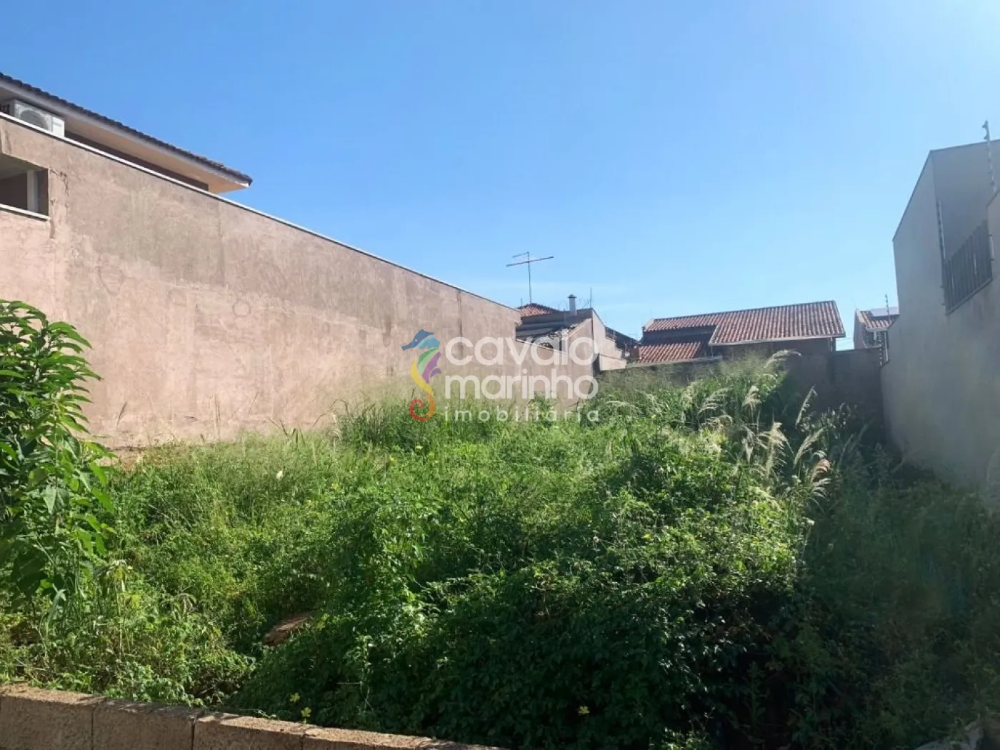 Comprar Terreno / Terreno em Ribeir&atilde;o Preto R$ 280.000,00 - Foto 4