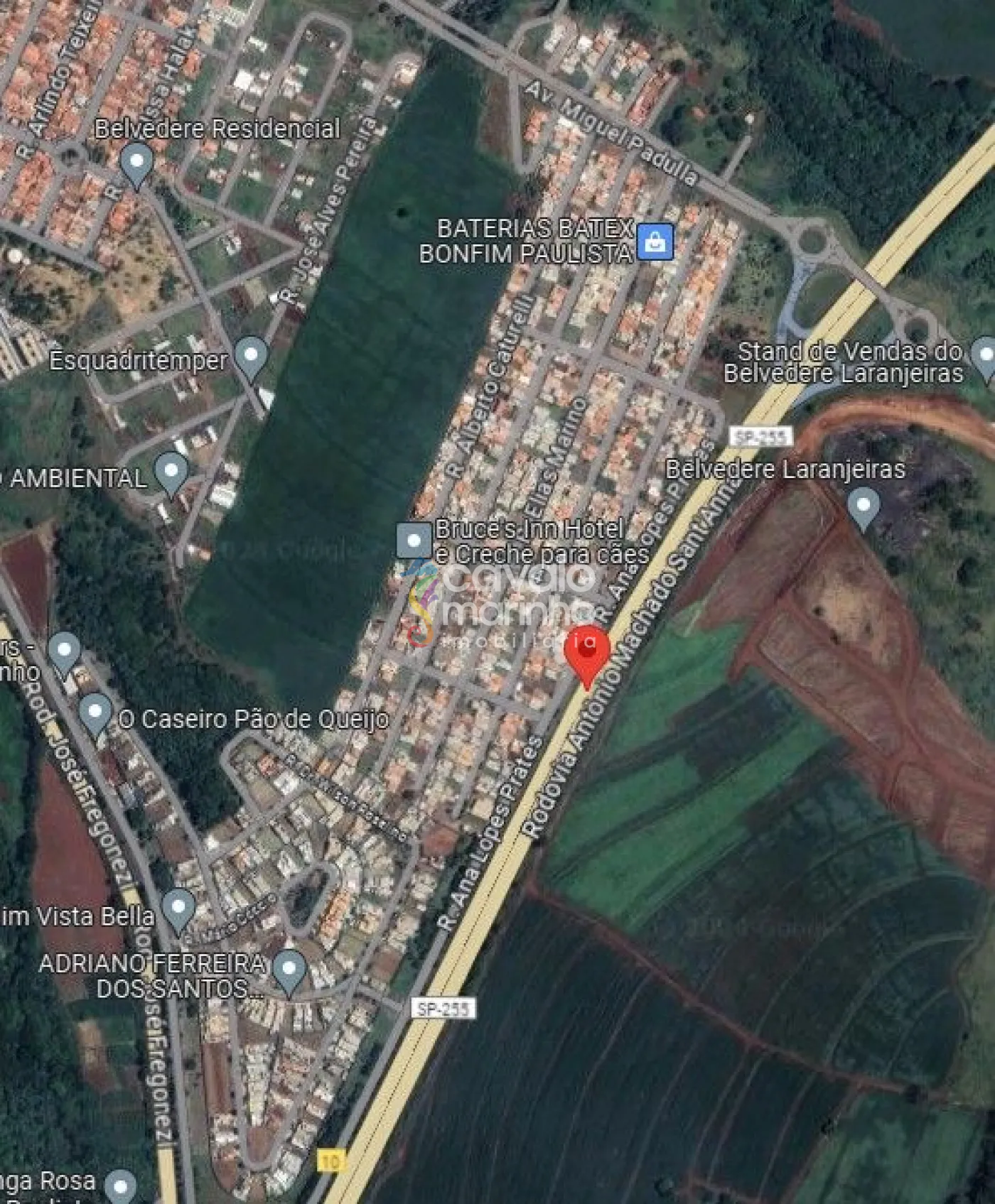 Comprar Casa / Casa em Ribeir&atilde;o Preto R$ 740.000,00 - Foto 3