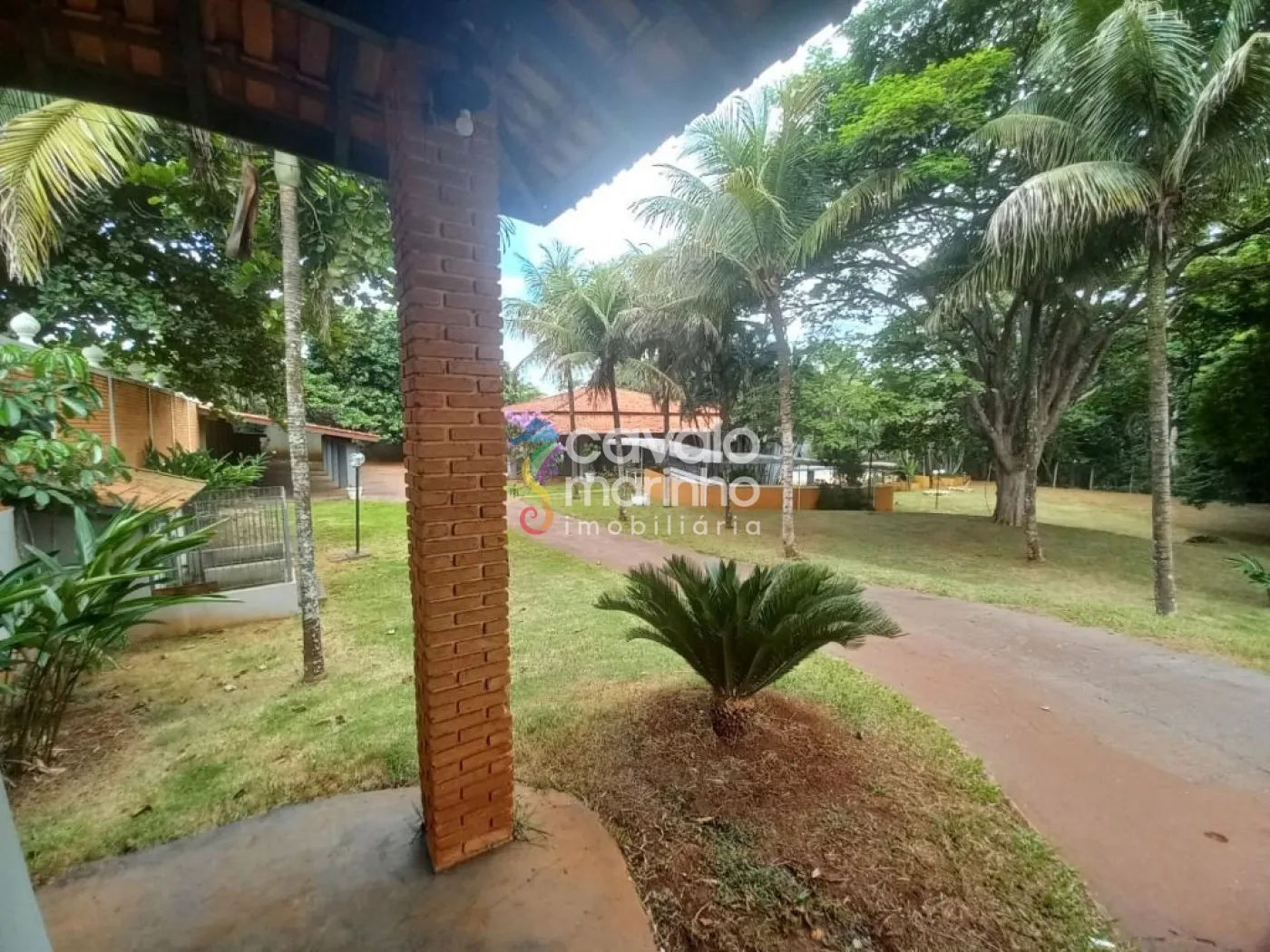 Comprar Rural / Ch&aacute;cara em Ribeir&atilde;o Preto R$ 6.900.000,00 - Foto 29