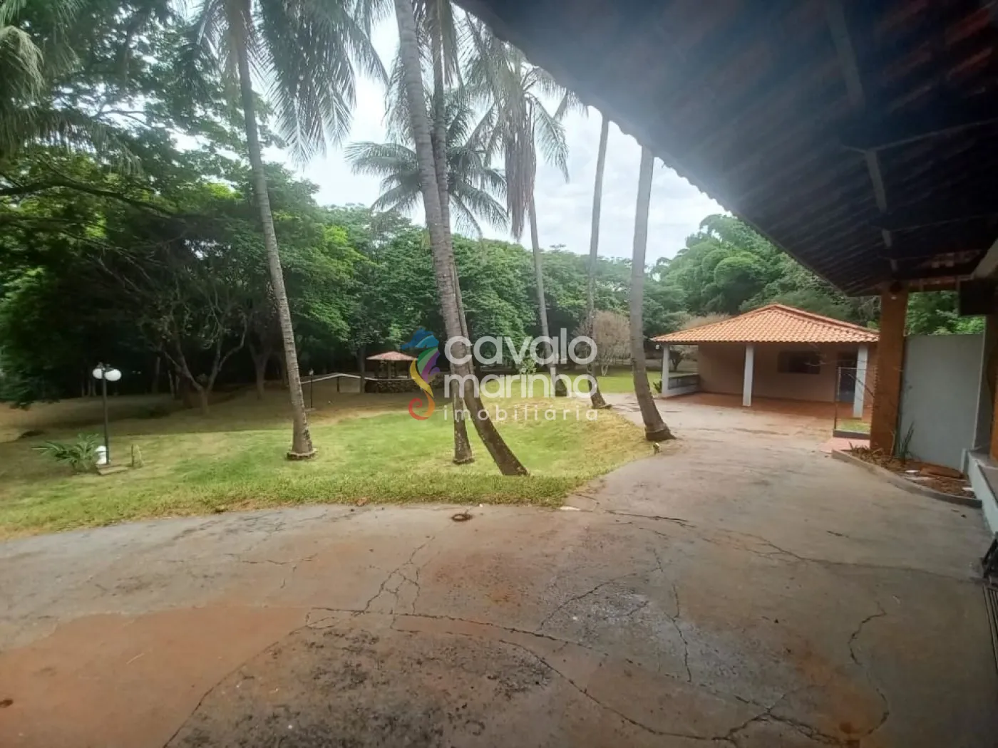 Comprar Rural / Ch&aacute;cara em Ribeir&atilde;o Preto R$ 6.900.000,00 - Foto 28