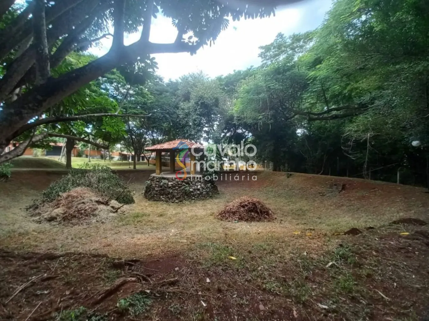 Comprar Rural / Ch&aacute;cara em Ribeir&atilde;o Preto R$ 6.900.000,00 - Foto 21