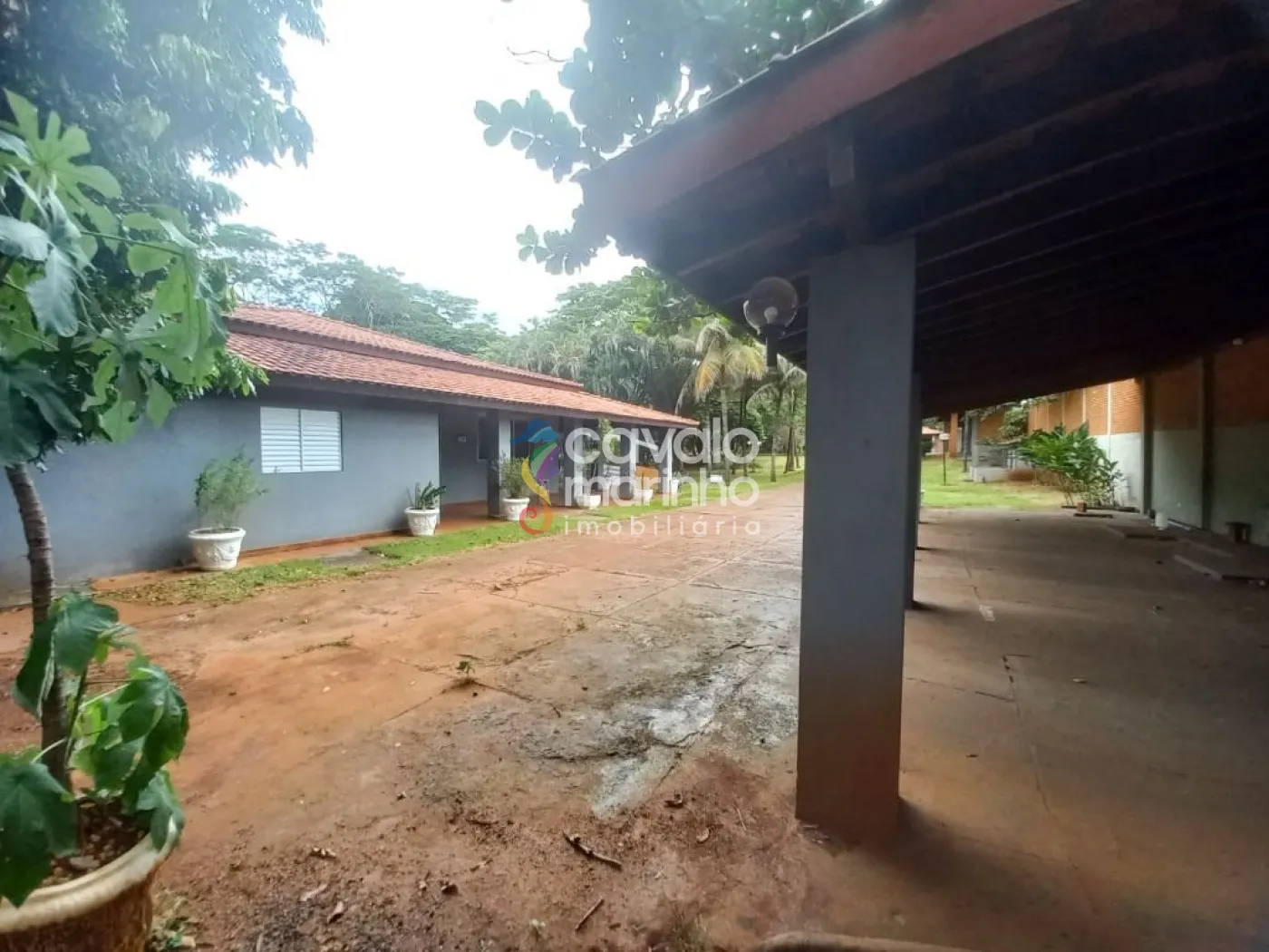 Comprar Rural / Ch&aacute;cara em Ribeir&atilde;o Preto R$ 6.900.000,00 - Foto 30