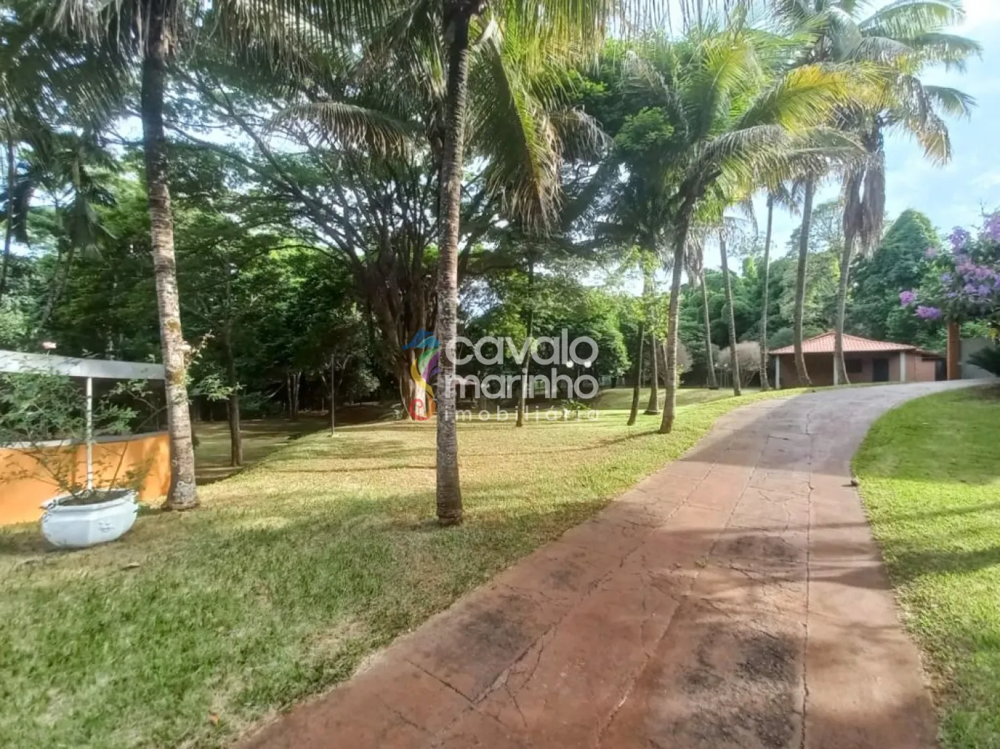 Comprar Rural / Ch&aacute;cara em Ribeir&atilde;o Preto R$ 6.900.000,00 - Foto 1