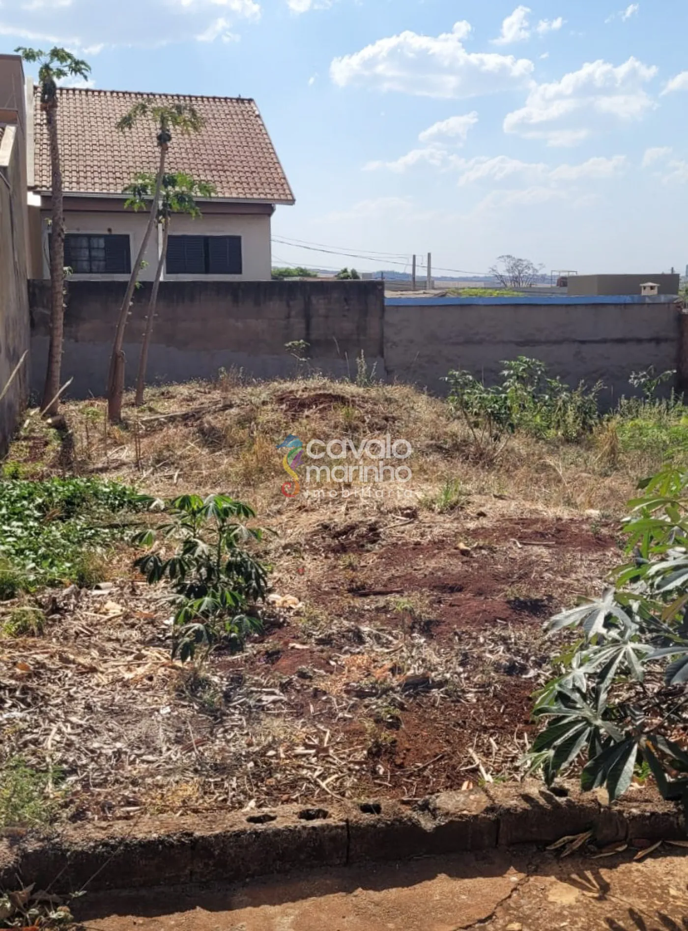 Comprar Terreno / Terreno em Ribeir&atilde;o Preto R$ 170.000,00 - Foto 4