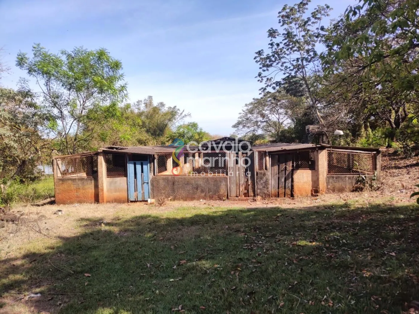 Comprar Rural / Ch&aacute;cara em Ribeir&atilde;o Preto R$ 5.185.000,00 - Foto 10