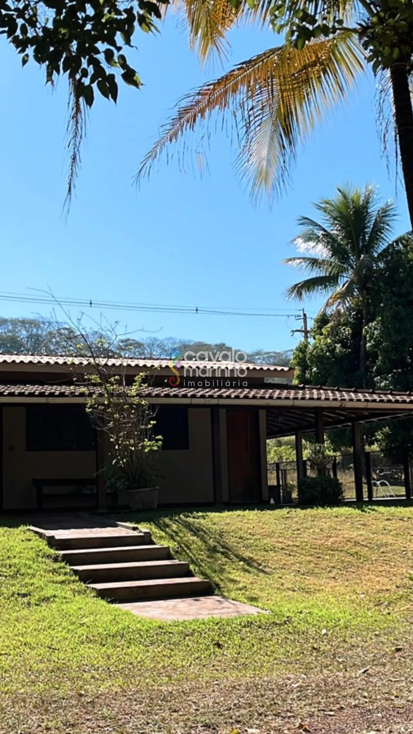 Comprar Rural / Ch&aacute;cara em Ribeir&atilde;o Preto R$ 5.185.000,00 - Foto 2