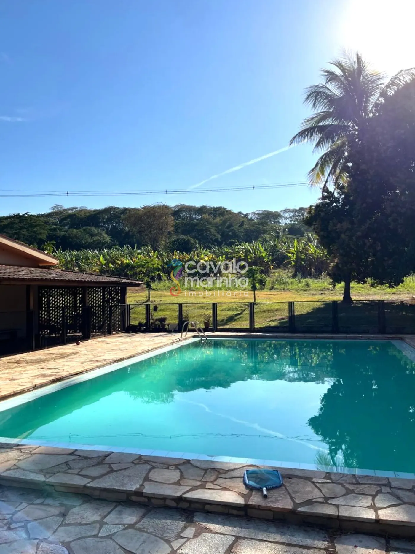 Comprar Rural / Ch&aacute;cara em Ribeir&atilde;o Preto R$ 5.185.000,00 - Foto 1