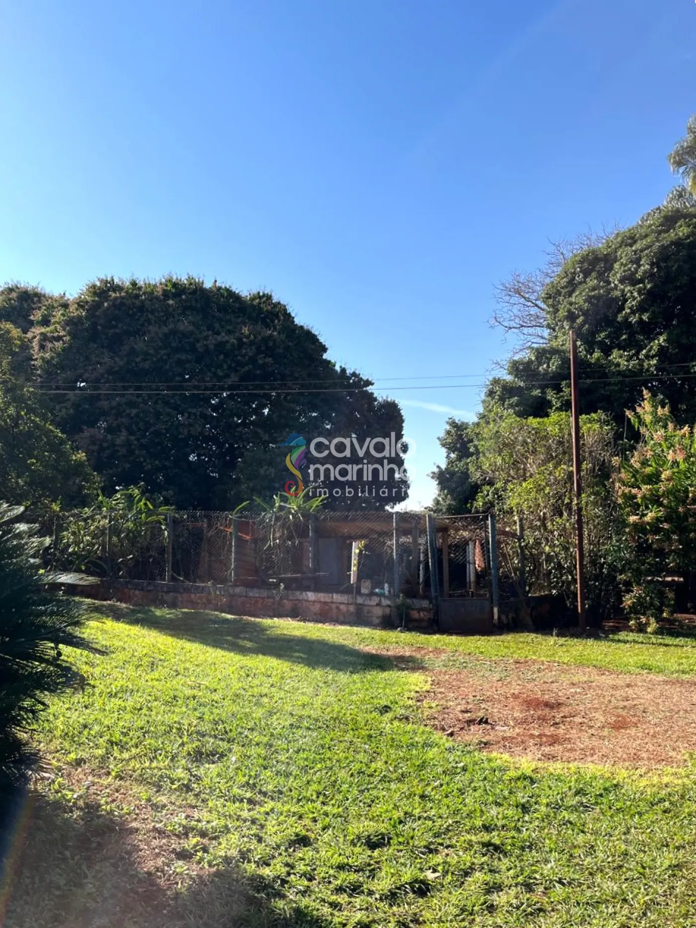Comprar Rural / Ch&aacute;cara em Ribeir&atilde;o Preto R$ 5.185.000,00 - Foto 5