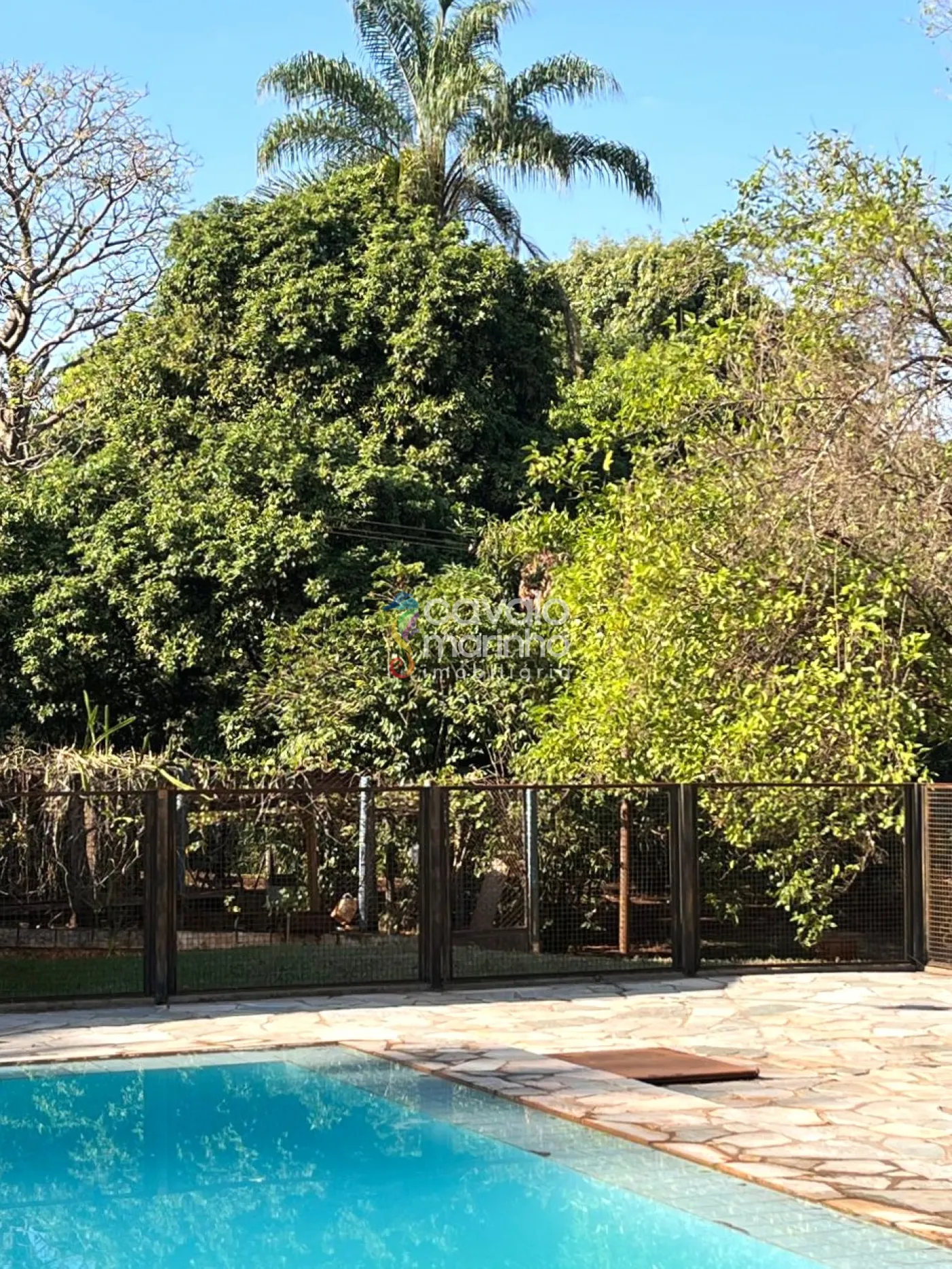 Comprar Rural / Ch&aacute;cara em Ribeir&atilde;o Preto R$ 5.185.000,00 - Foto 6